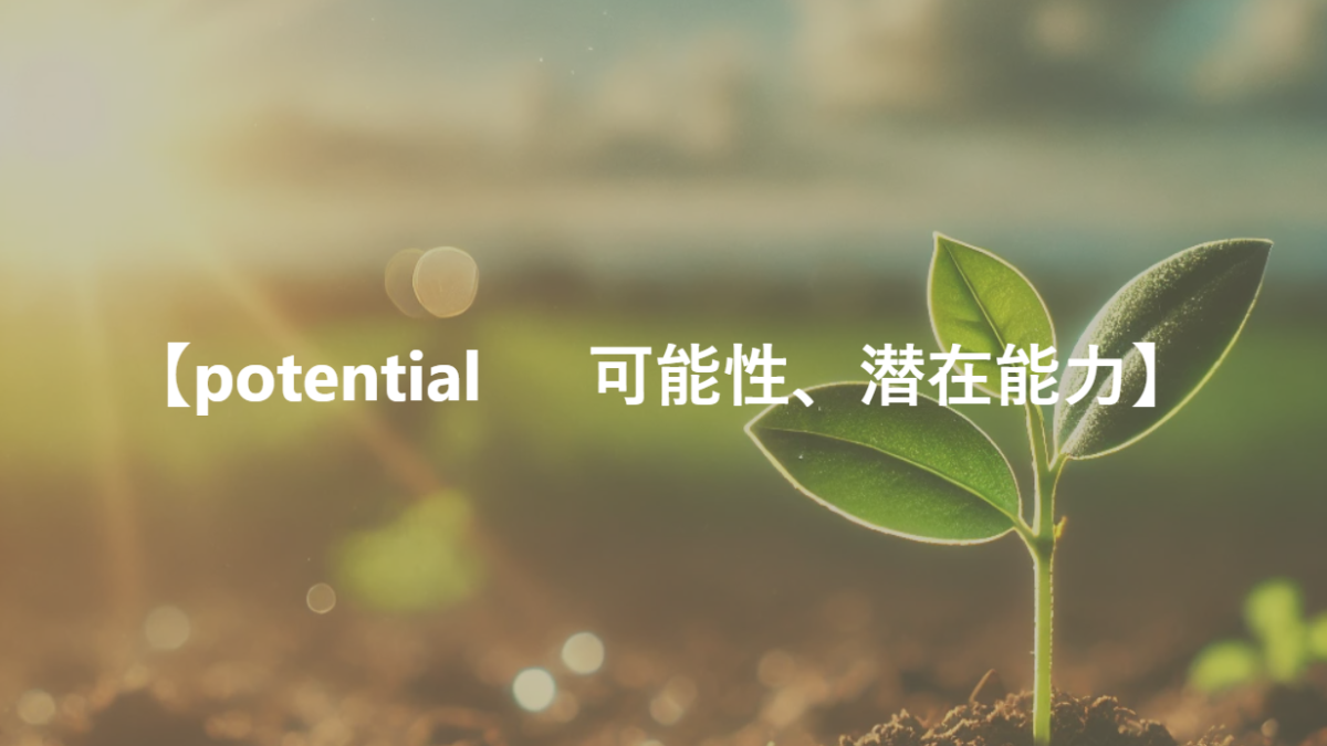 【potential 　 可能性、潜在能力】　