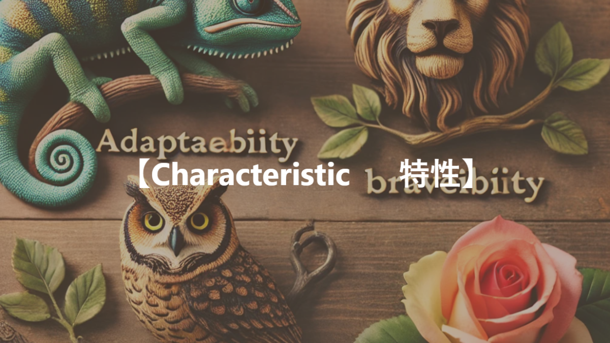 【Characteristic 　 特性】　