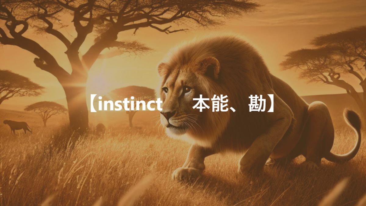 【instinct 　 本能、勘】