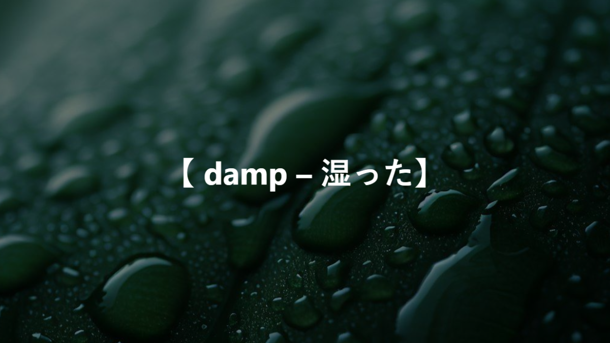 【 damp – 湿った】