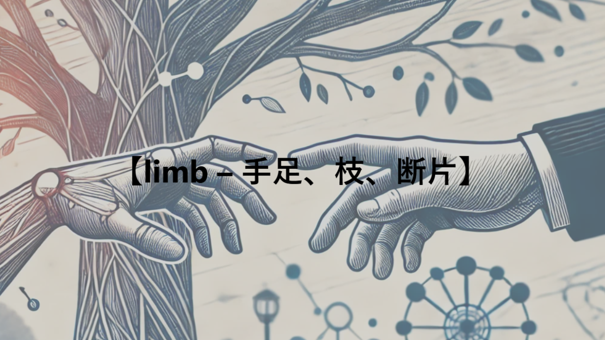 【limb – 手足、枝、断片】