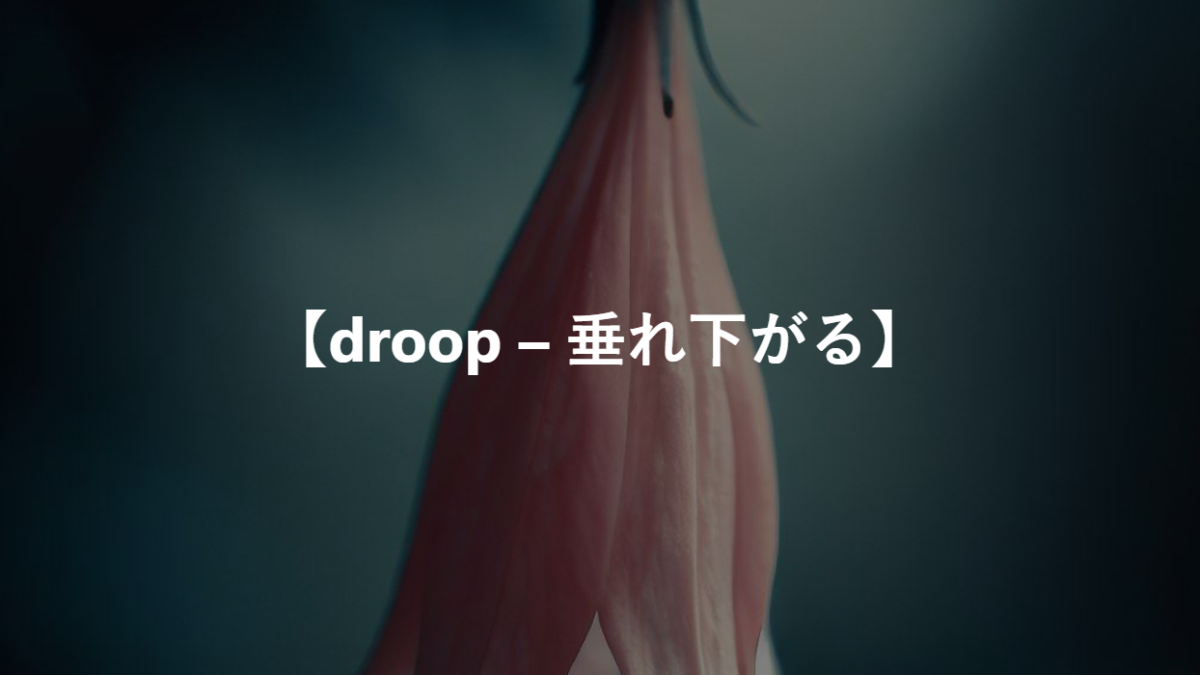 【droop – 垂れ下がる】