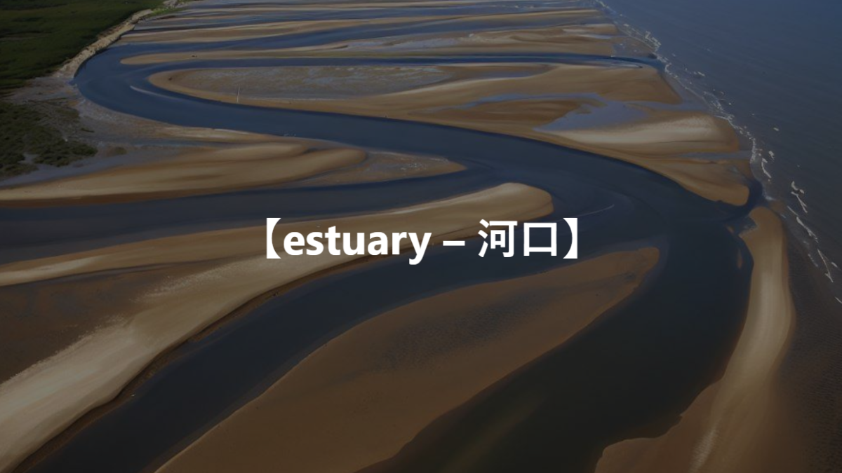 【estuary – 河口】