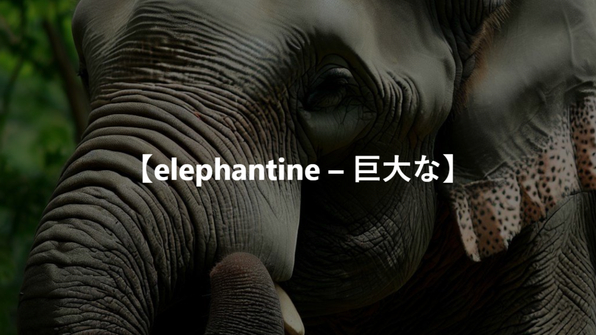 【elephantine – 巨大な】