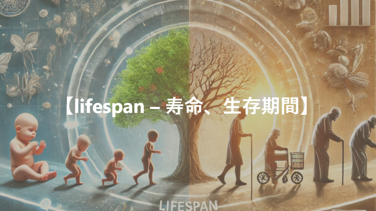 【lifespan – 寿命、生存期間】