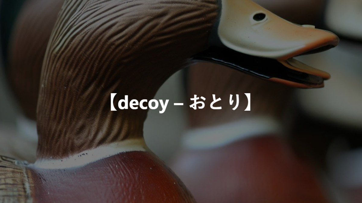 【decoy – おとり】