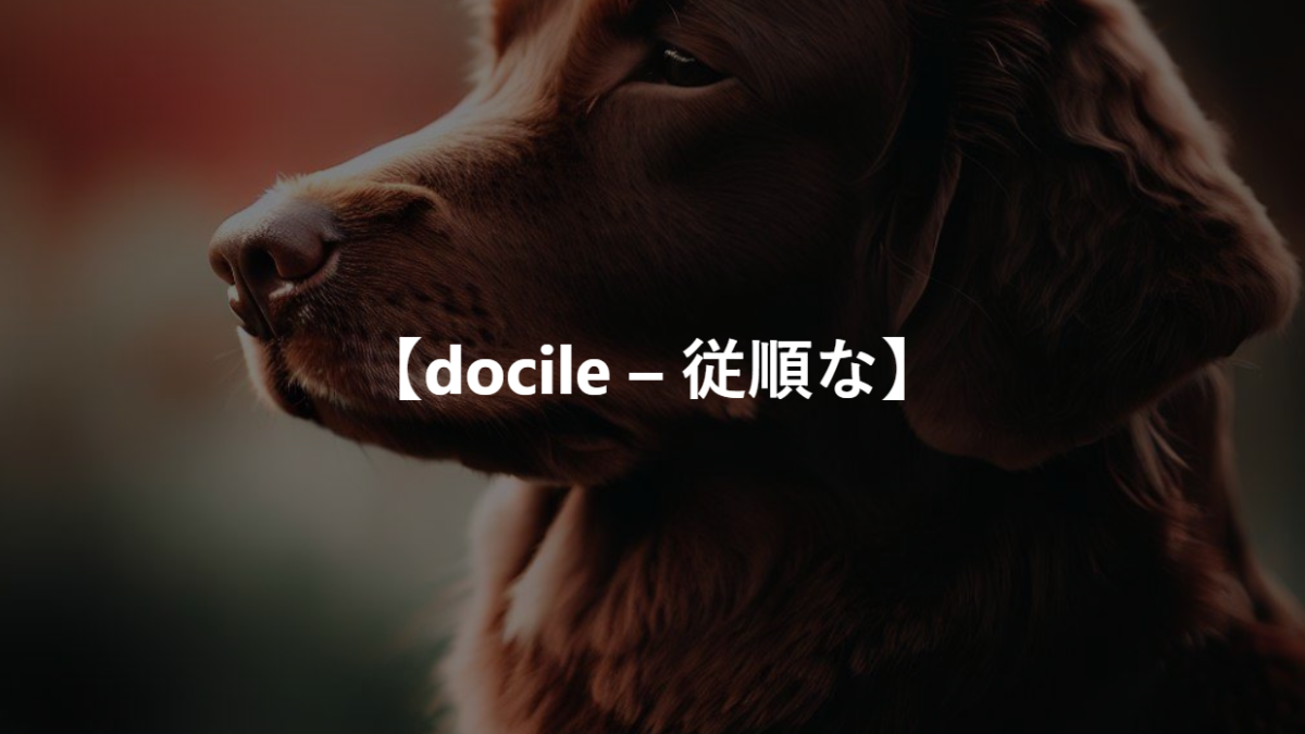 【docile – 従順な】