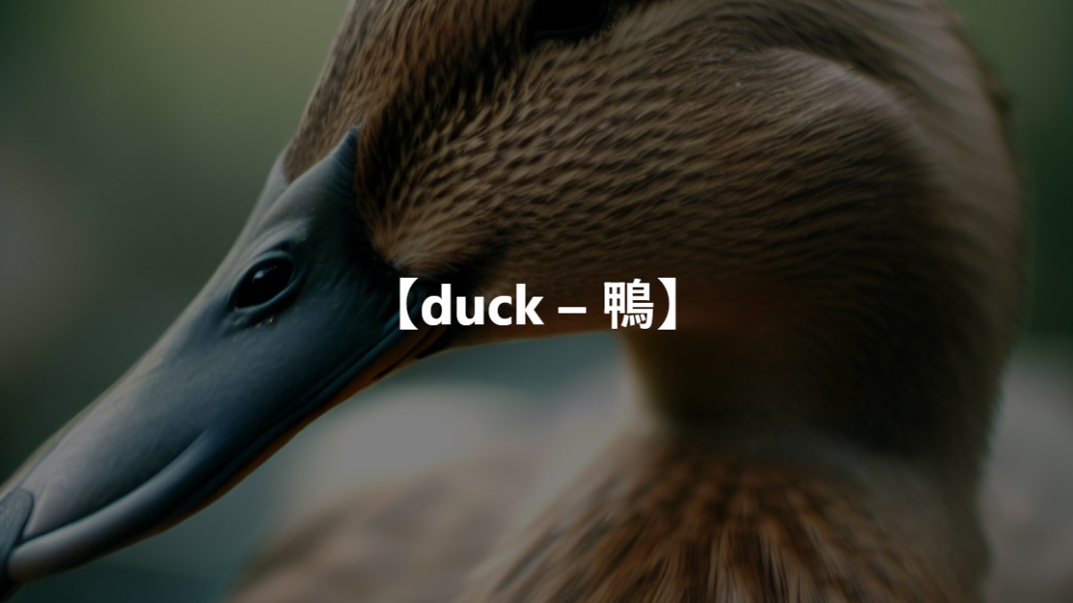 【duck – 鴨】