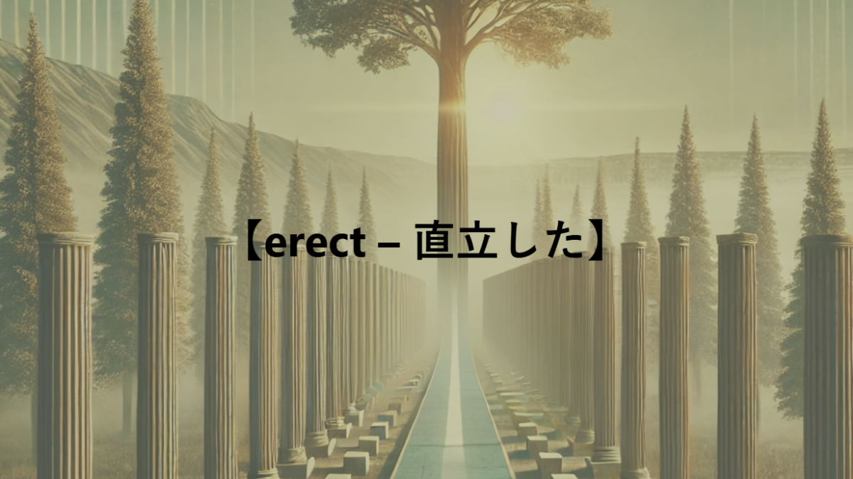 【erect – 直立した】