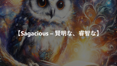 【Sagacious – 賢明な、睿智な】