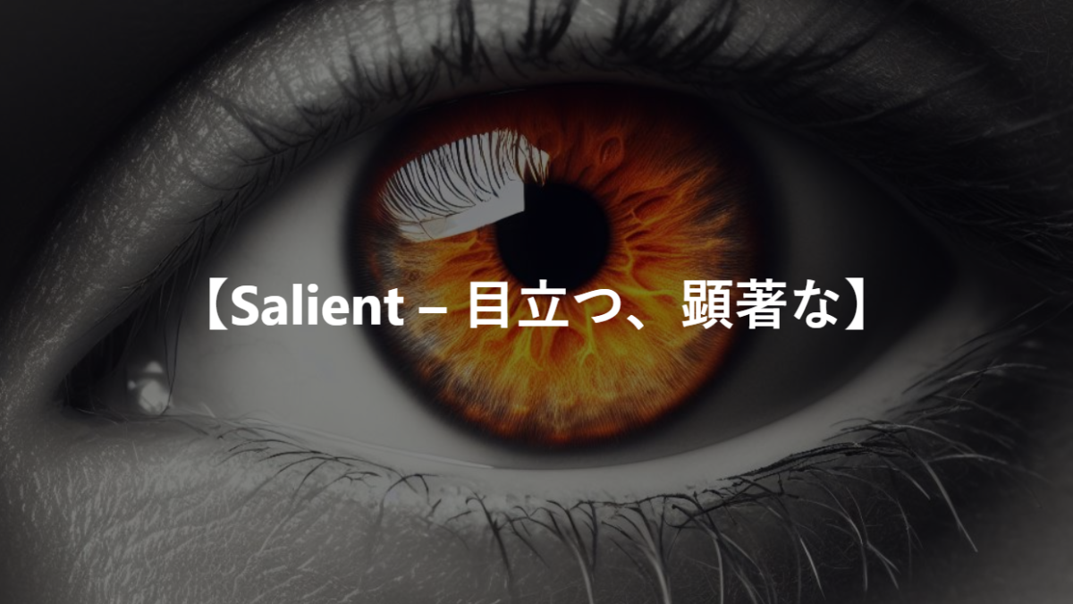 【Salient – 目立つ、顕著な】