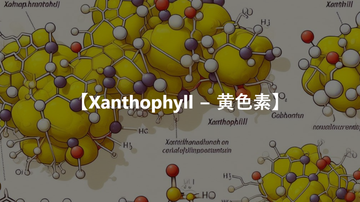 【Xanthophyll − 黄色素】