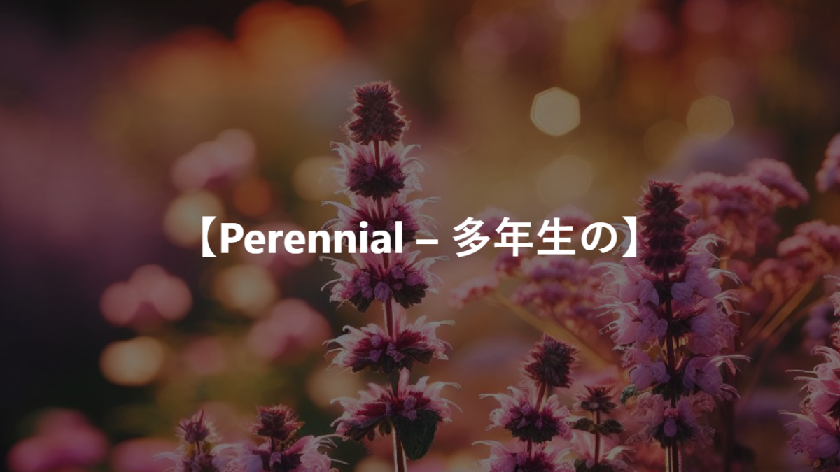 【Perennial – 多年生の】