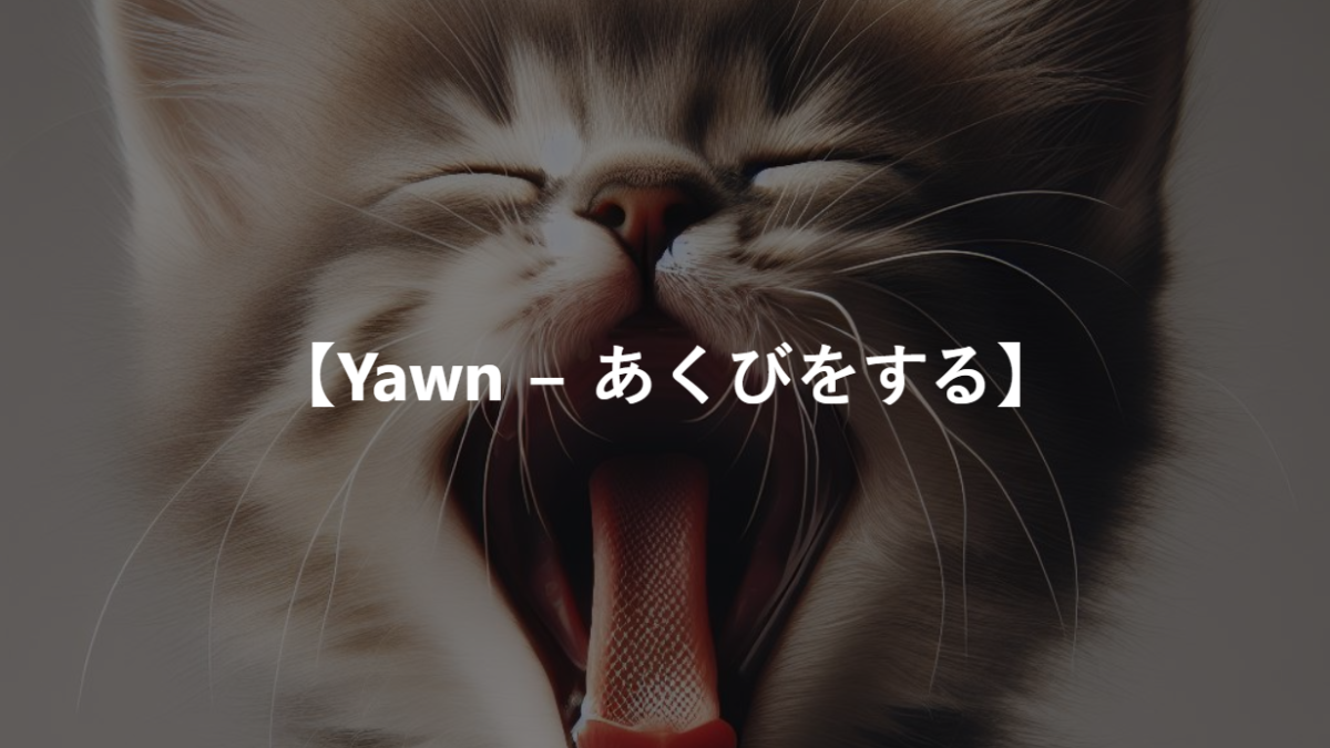 【Yawn − あくびをする】