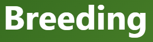 【Breeding – 飼育、教育】