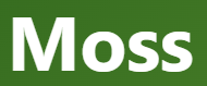 【Moss – コケ】