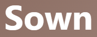 【sown – 種をまく、播種された】